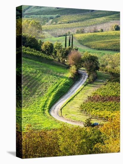 Italy, Tuscany, Chianti, Autumn, Road running through vineyards-Terry Eggers-Stretched Canvas