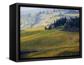 Italy, Tuscany, Chianti, Autumn Vineyard Rows-Terry Eggers-Framed Stretched Canvas