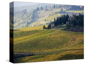 Italy, Tuscany, Chianti, Autumn Vineyard Rows-Terry Eggers-Stretched Canvas