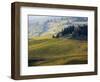 Italy, Tuscany, Chianti, Autumn Vineyard Rows-Terry Eggers-Framed Photographic Print