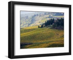 Italy, Tuscany, Chianti, Autumn Vineyard Rows-Terry Eggers-Framed Photographic Print