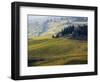 Italy, Tuscany, Chianti, Autumn Vineyard Rows-Terry Eggers-Framed Photographic Print