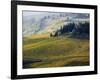 Italy, Tuscany, Chianti, Autumn Vineyard Rows-Terry Eggers-Framed Photographic Print