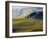 Italy, Tuscany, Chianti, Autumn Vineyard Rows-Terry Eggers-Framed Photographic Print