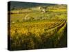 Italy, Tuscany, Chianti, Autumn Vineyard Rows-Terry Eggers-Stretched Canvas