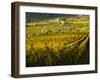 Italy, Tuscany, Chianti, Autumn Vineyard Rows-Terry Eggers-Framed Photographic Print