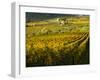 Italy, Tuscany, Chianti, Autumn Vineyard Rows-Terry Eggers-Framed Photographic Print