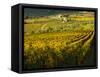 Italy, Tuscany, Chianti, Autumn Vineyard Rows-Terry Eggers-Framed Stretched Canvas