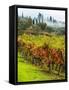 Italy, Tuscany, Chianti, Autumn Vineyard Rows-Terry Eggers-Framed Stretched Canvas