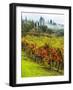 Italy, Tuscany, Chianti, Autumn Vineyard Rows-Terry Eggers-Framed Photographic Print