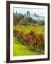 Italy, Tuscany, Chianti, Autumn Vineyard Rows-Terry Eggers-Framed Photographic Print