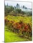 Italy, Tuscany, Chianti, Autumn Vineyard Rows-Terry Eggers-Mounted Photographic Print