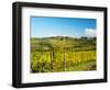 Italy, Tuscany, Chianti, Panzano, Autumn Vineyard-Terry Eggers-Framed Photographic Print
