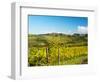 Italy, Tuscany, Chianti, Panzano, Autumn Vineyard-Terry Eggers-Framed Photographic Print