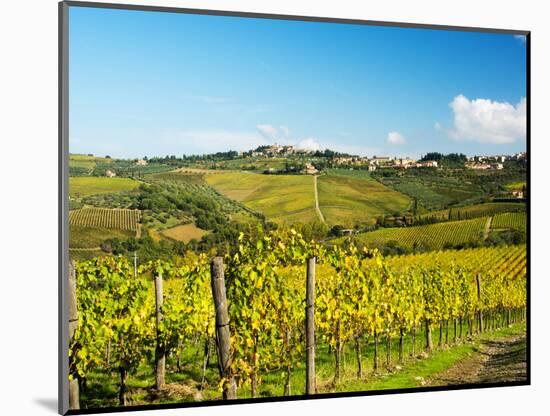 Italy, Tuscany, Chianti, Panzano, Autumn Vineyard-Terry Eggers-Mounted Photographic Print