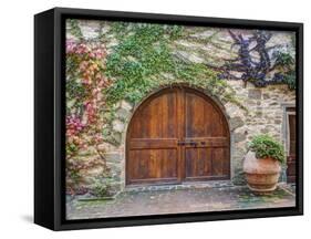 Italy, Tuscany, Chianti Region. This Is the Castello D'Albola Estate-Julie Eggers-Framed Stretched Canvas
