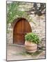 Italy, Tuscany, Chianti Region. This Is the Castello D'Albola Estate-Julie Eggers-Mounted Photographic Print