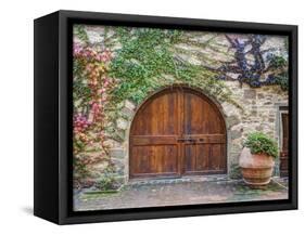 Italy, Tuscany, Chianti Region. This Is the Castello D'Albola Estate-Julie Eggers-Framed Stretched Canvas