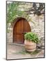 Italy, Tuscany, Chianti Region. This Is the Castello D'Albola Estate-Julie Eggers-Mounted Photographic Print