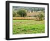 Italy, Tuscany. Colorful vineyard in autumn.-Julie Eggers-Framed Photographic Print