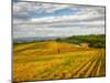 Italy, Tuscany. Colorful vineyard in autumn.-Julie Eggers-Mounted Photographic Print