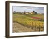 Italy, Tuscany. Colorful vineyard with autumn colors below yellow homes in Tuscany.-Julie Eggers-Framed Photographic Print