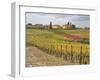 Italy, Tuscany. Colorful vineyard with autumn colors below yellow homes in Tuscany.-Julie Eggers-Framed Photographic Print