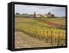 Italy, Tuscany. Colorful vineyard with autumn colors below yellow homes in Tuscany.-Julie Eggers-Framed Stretched Canvas