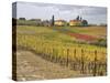 Italy, Tuscany. Colorful vineyard with autumn colors below yellow homes in Tuscany.-Julie Eggers-Stretched Canvas