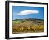 Italy, Tuscany. Colorful vineyards in autumn with blue skies and clouds.-Julie Eggers-Framed Photographic Print