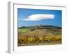 Italy, Tuscany. Colorful vineyards in autumn with blue skies and clouds.-Julie Eggers-Framed Photographic Print