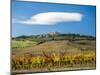 Italy, Tuscany. Colorful vineyards in autumn with blue skies and clouds.-Julie Eggers-Mounted Photographic Print