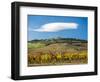 Italy, Tuscany. Colorful vineyards in autumn with blue skies and clouds.-Julie Eggers-Framed Photographic Print