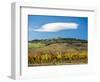 Italy, Tuscany. Colorful vineyards in autumn with blue skies and clouds.-Julie Eggers-Framed Photographic Print