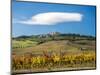 Italy, Tuscany. Colorful vineyards in autumn with blue skies and clouds.-Julie Eggers-Mounted Photographic Print