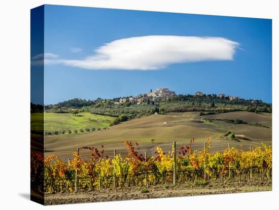 Italy, Tuscany. Colorful vineyards in autumn with blue skies and clouds.-Julie Eggers-Stretched Canvas