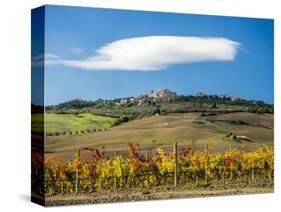 Italy, Tuscany. Colorful vineyards in autumn with blue skies and clouds.-Julie Eggers-Stretched Canvas