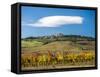 Italy, Tuscany. Colorful vineyards in autumn with blue skies and clouds.-Julie Eggers-Framed Stretched Canvas