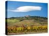 Italy, Tuscany. Colorful vineyards in autumn with blue skies and clouds.-Julie Eggers-Stretched Canvas
