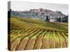 Italy, Tuscany. Colorful Vineyards in Fall in the Val Dorcia-Julie Eggers-Stretched Canvas