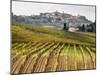 Italy, Tuscany. Colorful Vineyards in Fall in the Val Dorcia-Julie Eggers-Mounted Photographic Print