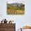 Italy, Tuscany. Colorful Vineyards in Fall in the Val Dorcia-Julie Eggers-Photographic Print displayed on a wall