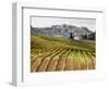 Italy, Tuscany. Colorful Vineyards in Fall in the Val Dorcia-Julie Eggers-Framed Photographic Print