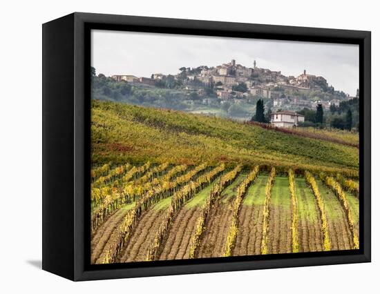 Italy, Tuscany. Colorful Vineyards in Fall in the Val Dorcia-Julie Eggers-Framed Stretched Canvas