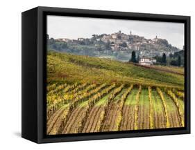 Italy, Tuscany. Colorful Vineyards in Fall in the Val Dorcia-Julie Eggers-Framed Stretched Canvas