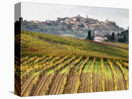 Italy, Tuscany. Colorful Vineyards in Fall in the Val Dorcia-Julie Eggers-Stretched Canvas