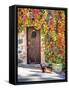 Italy, Tuscany, Contignano. a Wooden Door Surrounded by Fall and Cat-Julie Eggers-Framed Stretched Canvas