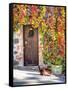 Italy, Tuscany, Contignano. a Wooden Door Surrounded by Fall and Cat-Julie Eggers-Framed Stretched Canvas