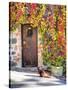 Italy, Tuscany, Contignano. a Wooden Door Surrounded by Fall and Cat-Julie Eggers-Stretched Canvas