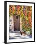 Italy, Tuscany, Contignano. a Wooden Door Surrounded by Fall and Cat-Julie Eggers-Framed Premium Photographic Print